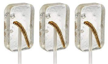Леденец с насекомым Hotlix Tequila with Worm Sugar-Free 28г 1818 фото